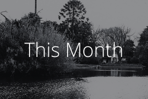 What's On - This Month